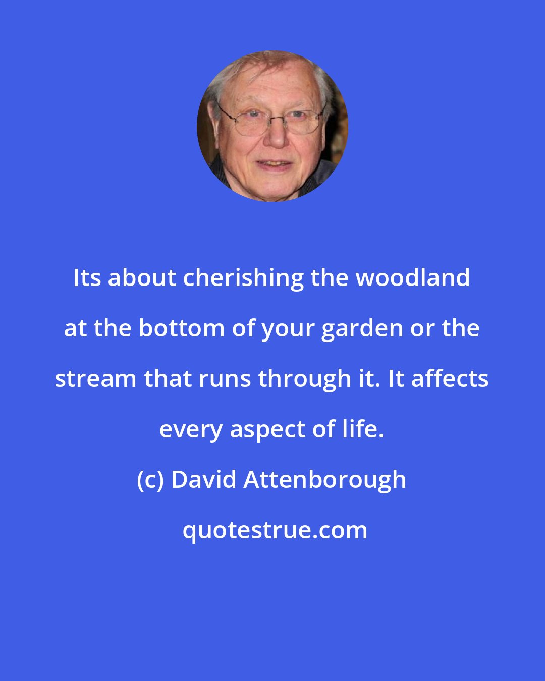David Attenborough: Its about cherishing the woodland at the bottom of your garden or the stream that runs through it. It affects every aspect of life.