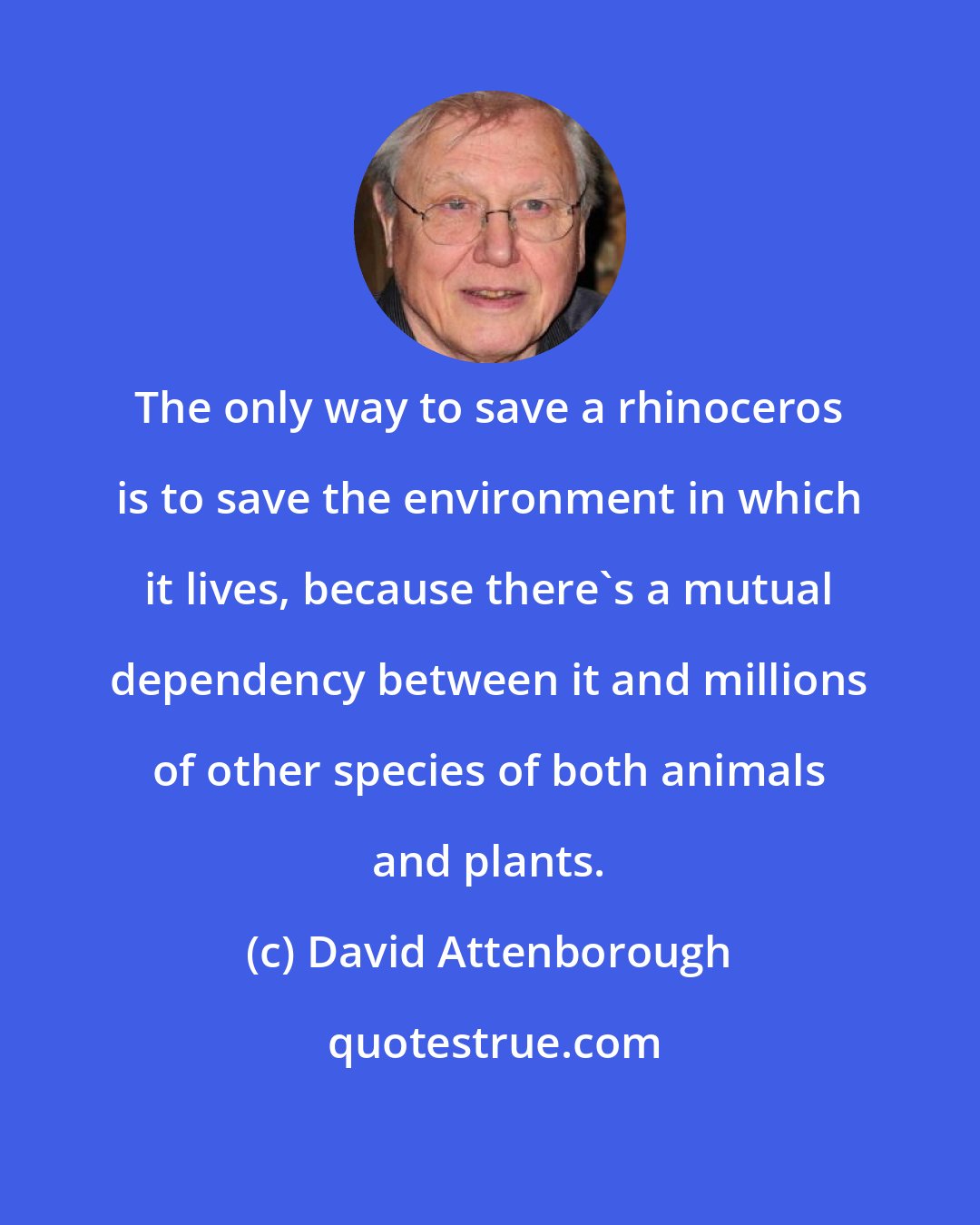 David Attenborough: The only way to save a rhinoceros is to save the environment in which it lives, because there's a mutual dependency between it and millions of other species of both animals and plants.