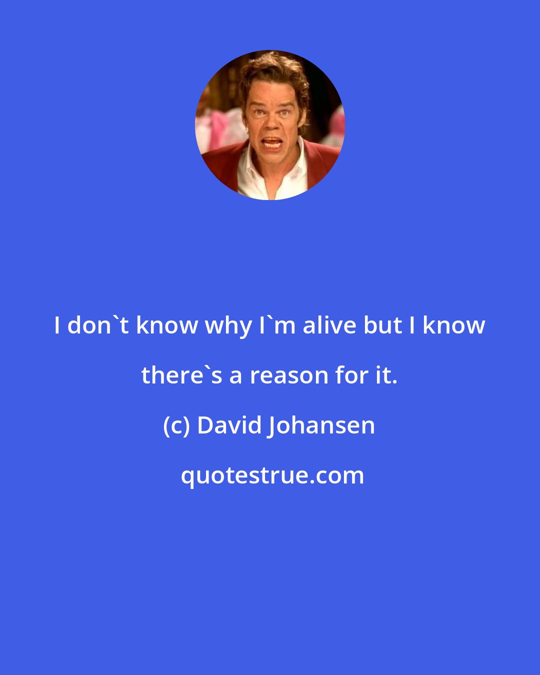David Johansen: I don't know why I'm alive but I know there's a reason for it.