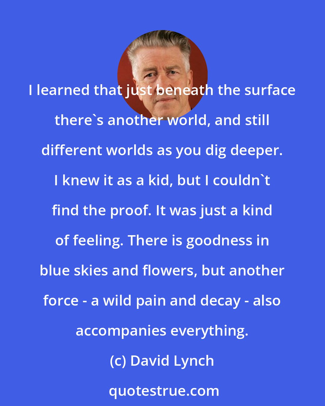 David Lynch: I learned that just beneath the surface there's another world, and still different worlds as you dig deeper. I knew it as a kid, but I couldn't find the proof. It was just a kind of feeling. There is goodness in blue skies and flowers, but another force - a wild pain and decay - also accompanies everything.