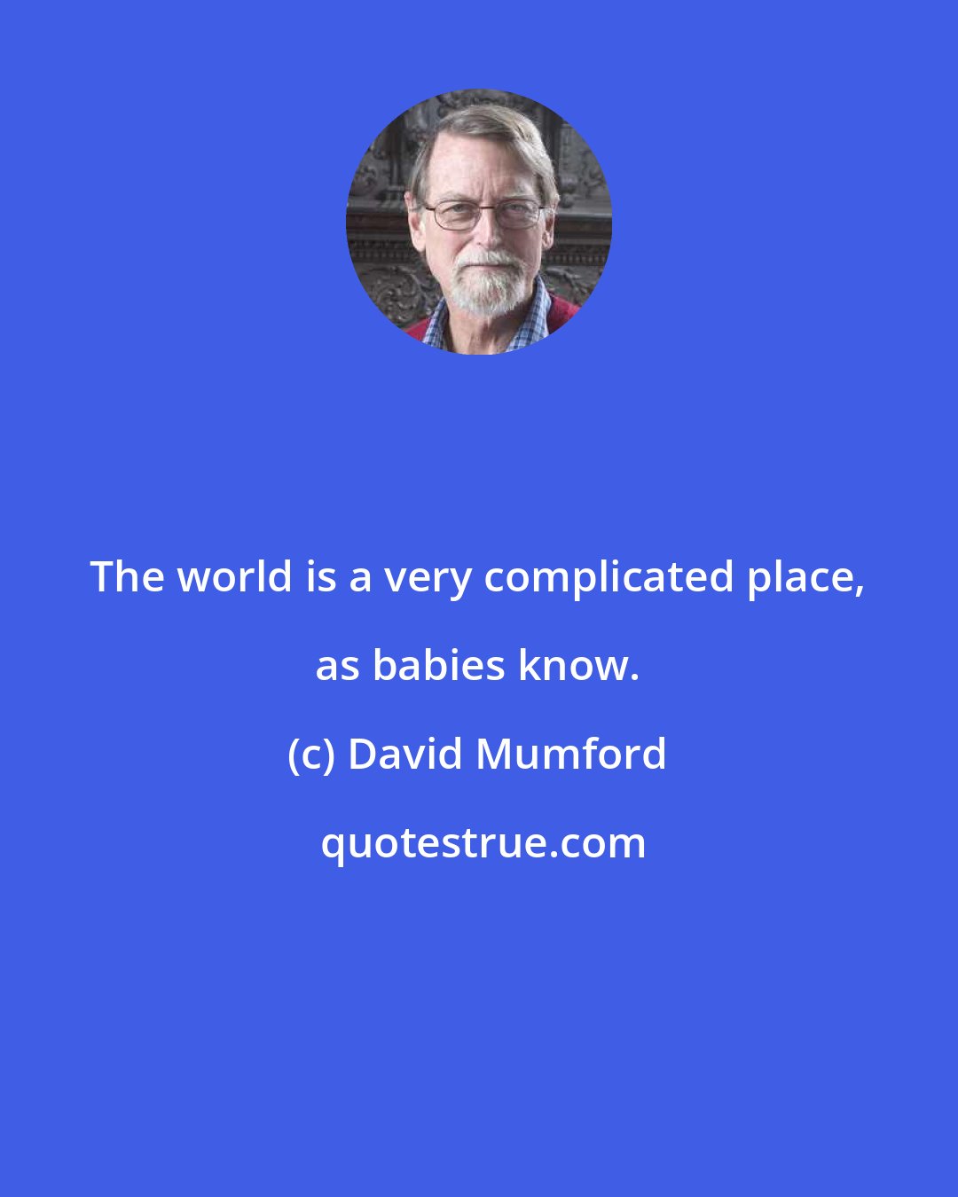 David Mumford: The world is a very complicated place, as babies know.