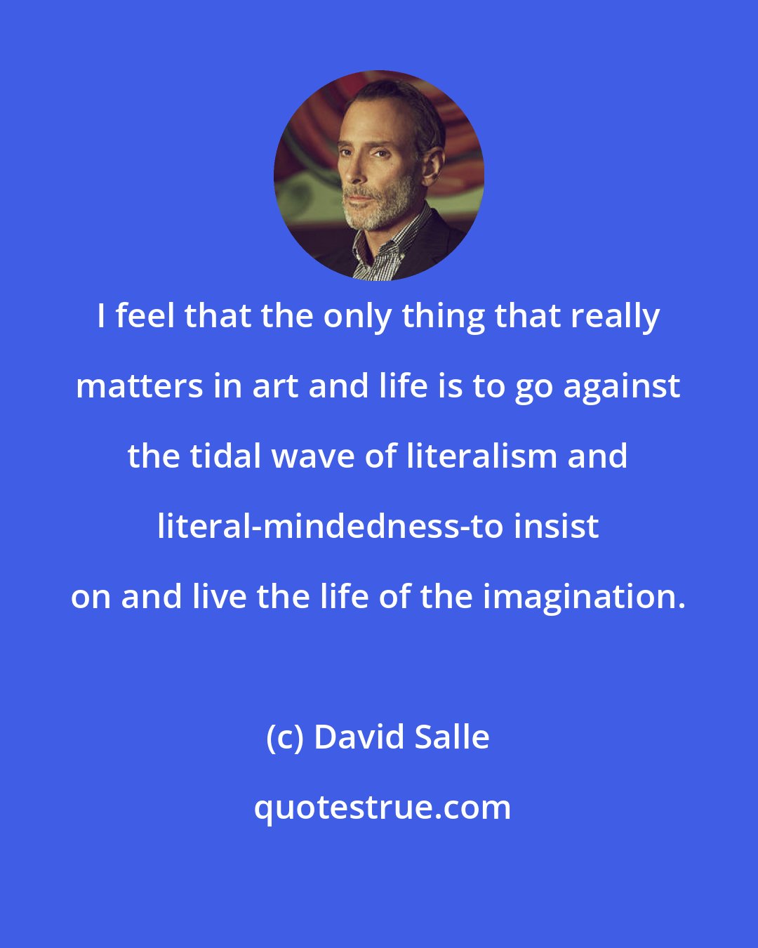 David Salle: I feel that the only thing that really matters in art and life is to go against the tidal wave of literalism and literal-mindedness-to insist on and live the life of the imagination.