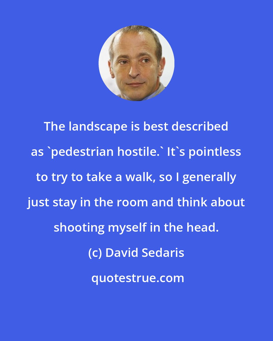David Sedaris: The landscape is best described as 'pedestrian hostile.' It's pointless to try to take a walk, so I generally just stay in the room and think about shooting myself in the head.
