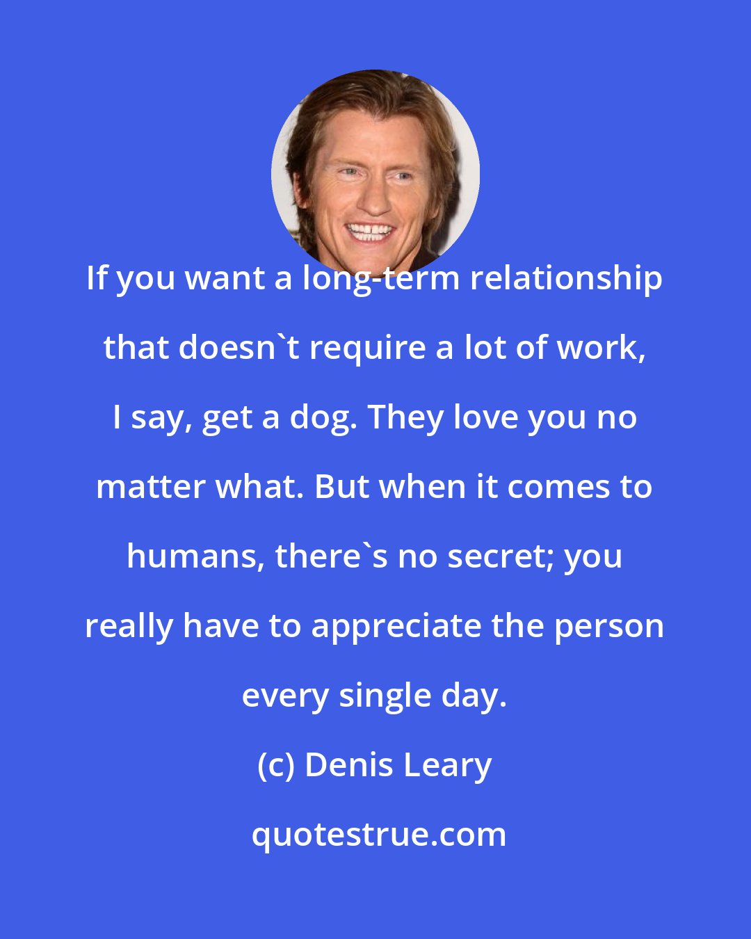Denis Leary: If you want a long-term relationship that doesn't require a lot of work, I say, get a dog. They love you no matter what. But when it comes to humans, there's no secret; you really have to appreciate the person every single day.