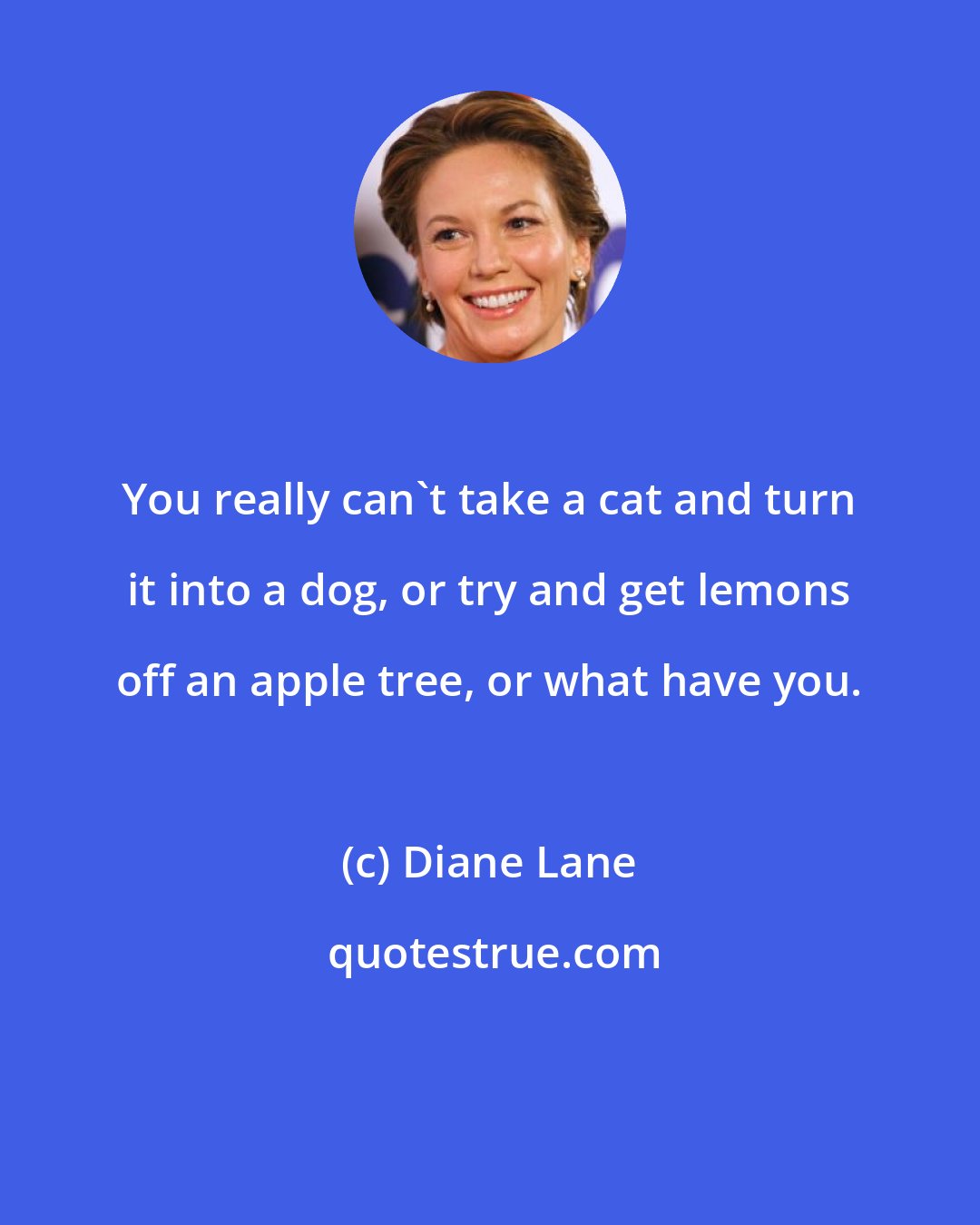 Diane Lane: You really can't take a cat and turn it into a dog, or try and get lemons off an apple tree, or what have you.