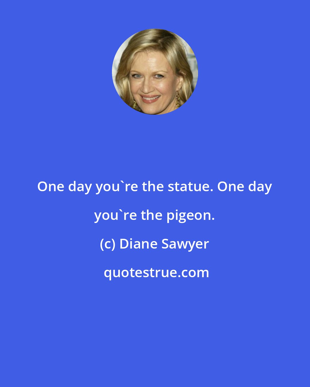 Diane Sawyer: One day you're the statue. One day you're the pigeon.