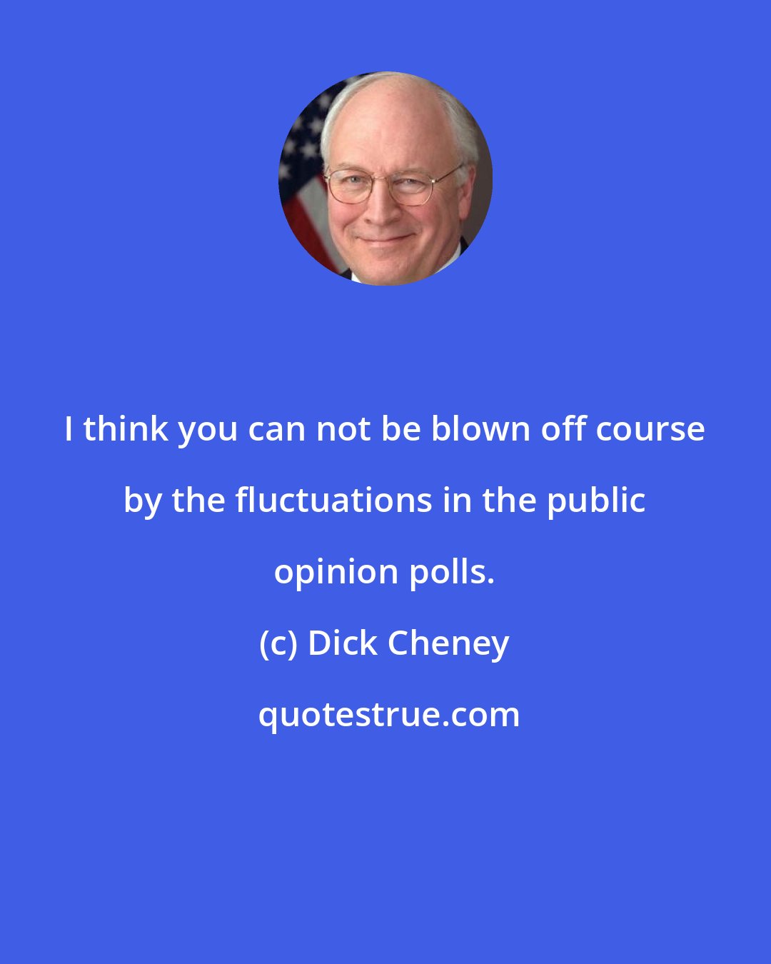 Dick Cheney: I think you can not be blown off course by the fluctuations in the public opinion polls.