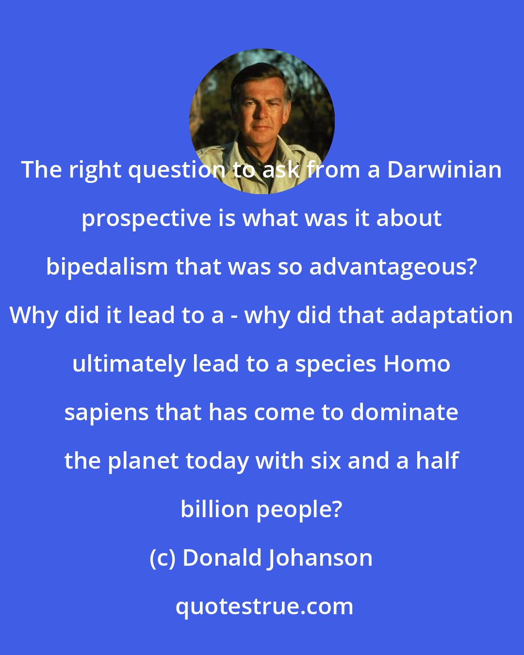 Donald Johanson: The right question to ask from a Darwinian prospective is what was it about bipedalism that was so advantageous? Why did it lead to a - why did that adaptation ultimately lead to a species Homo sapiens that has come to dominate the planet today with six and a half billion people?