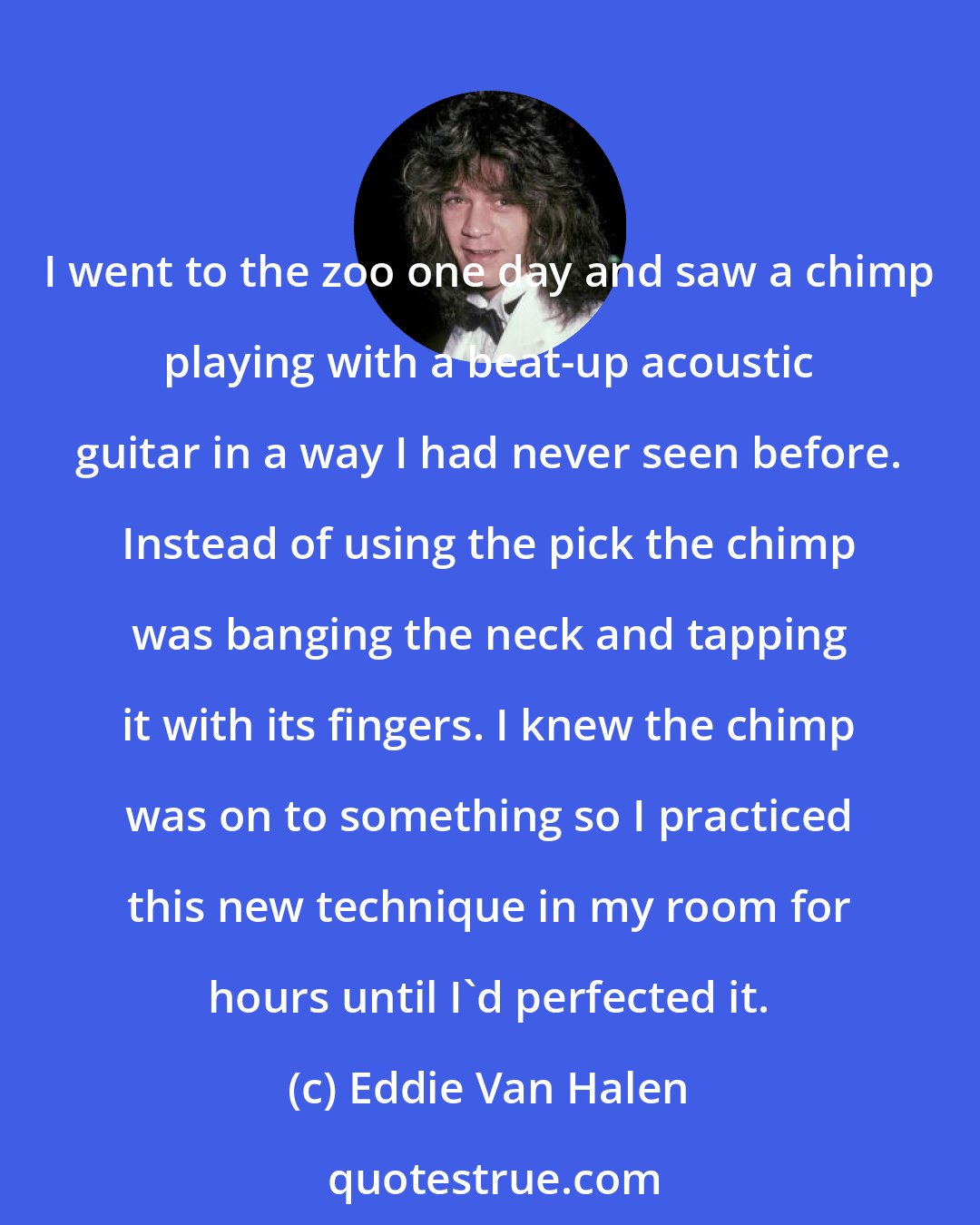 Eddie Van Halen: I went to the zoo one day and saw a chimp playing with a beat-up acoustic guitar in a way I had never seen before. Instead of using the pick the chimp was banging the neck and tapping it with its fingers. I knew the chimp was on to something so I practiced this new technique in my room for hours until I'd perfected it.