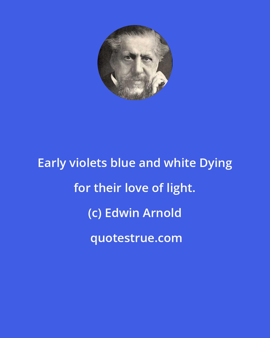 Edwin Arnold: Early violets blue and white Dying for their love of light.