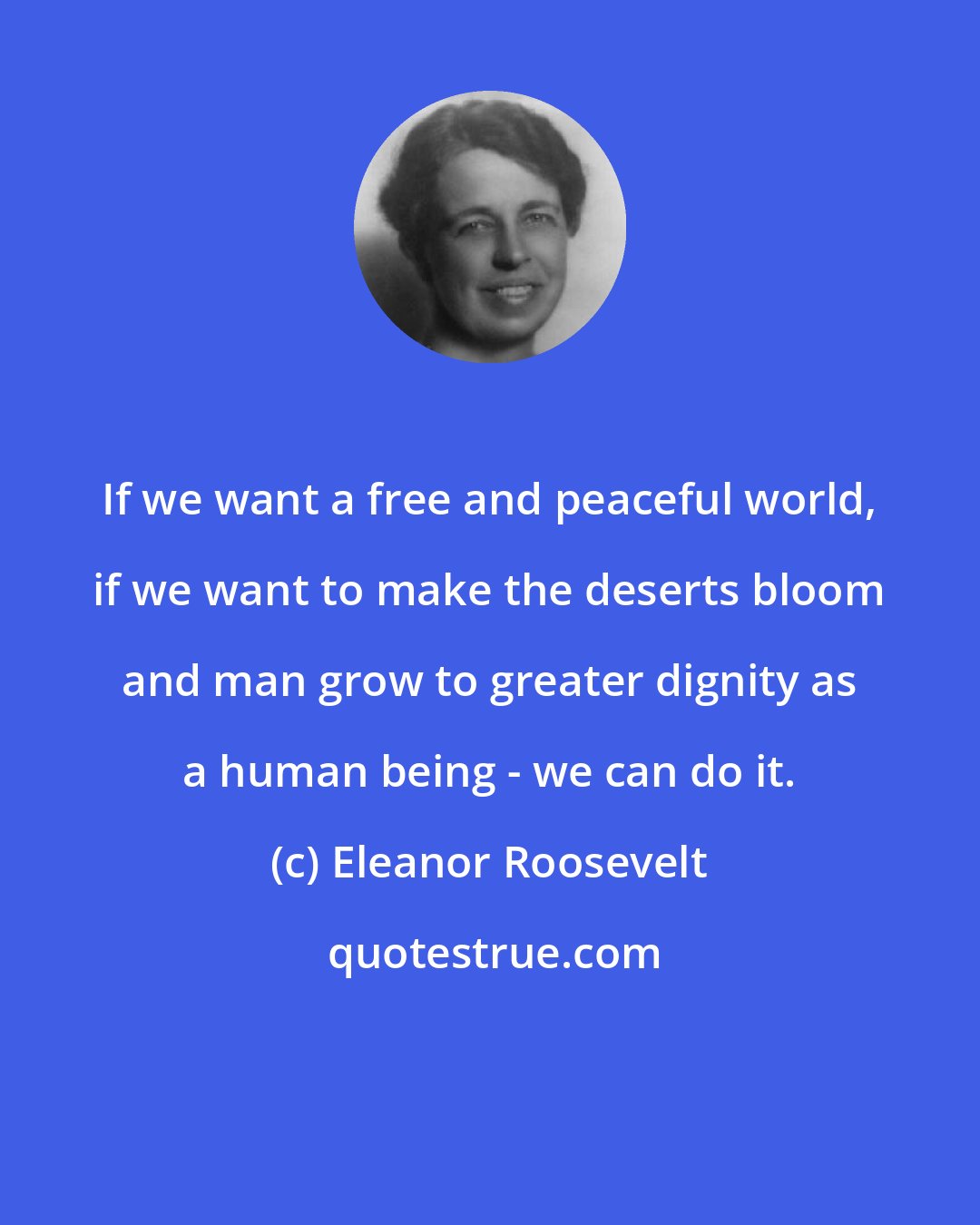 Eleanor Roosevelt: If we want a free and peaceful world, if we want to make the deserts bloom and man grow to greater dignity as a human being - we can do it.
