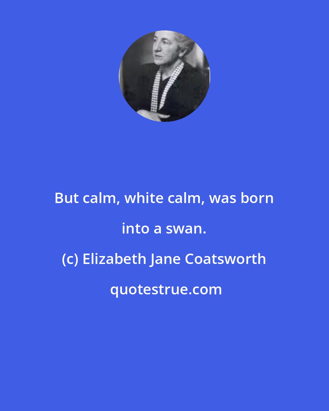 Elizabeth Jane Coatsworth: But calm, white calm, was born into a swan.