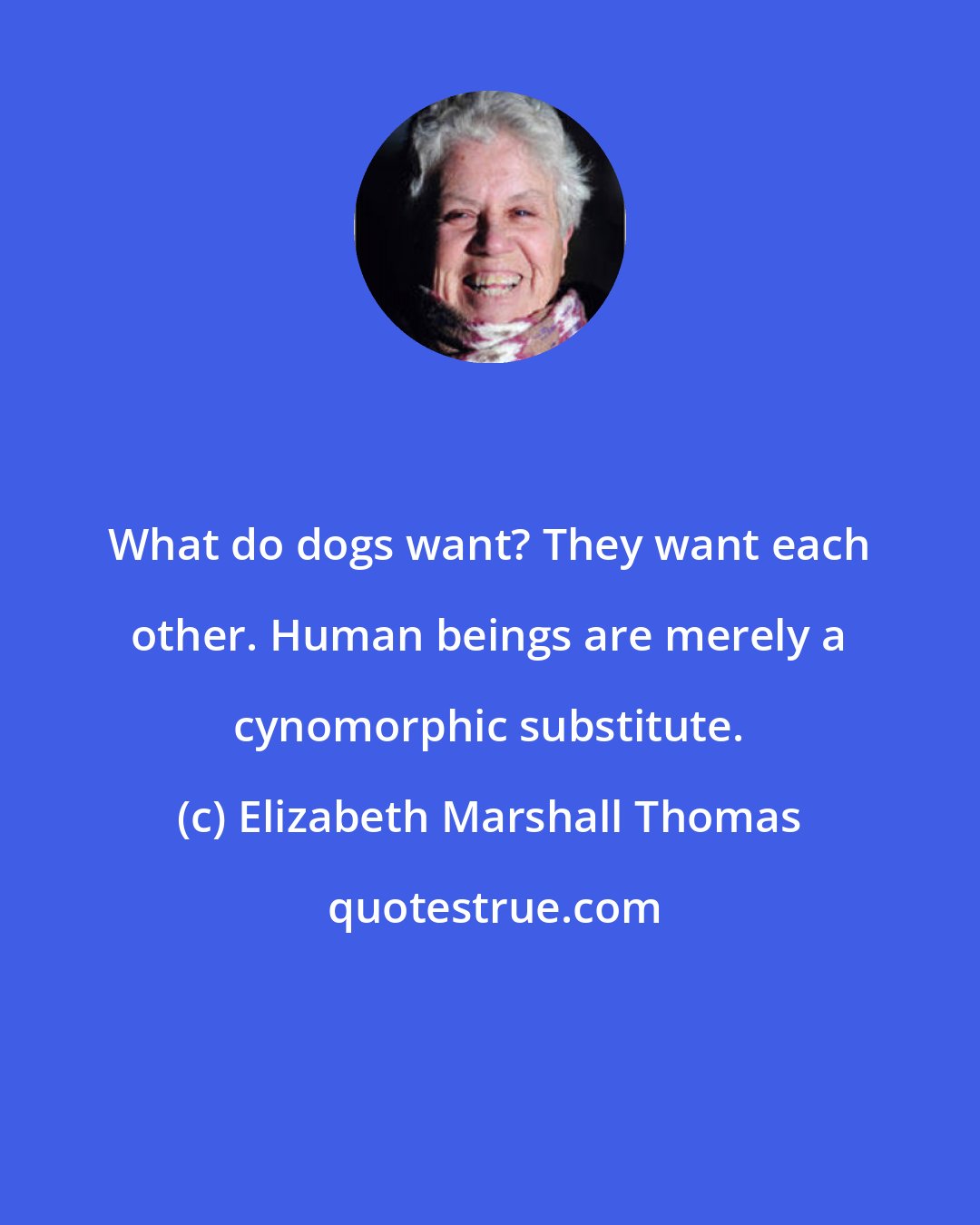 Elizabeth Marshall Thomas: What do dogs want? They want each other. Human beings are merely a cynomorphic substitute.