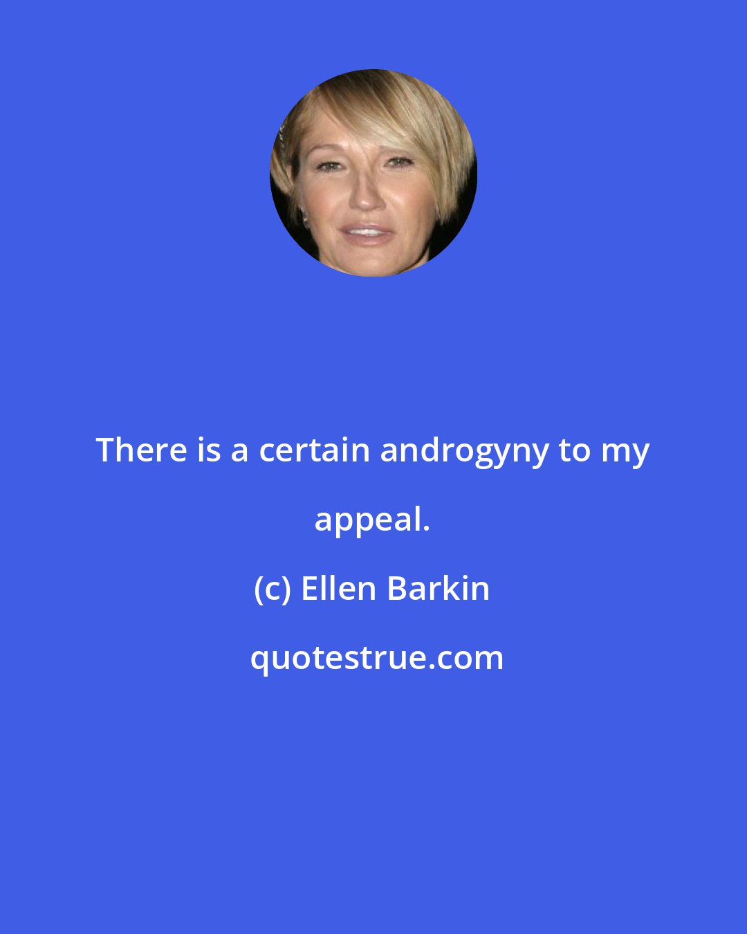 Ellen Barkin: There is a certain androgyny to my appeal.