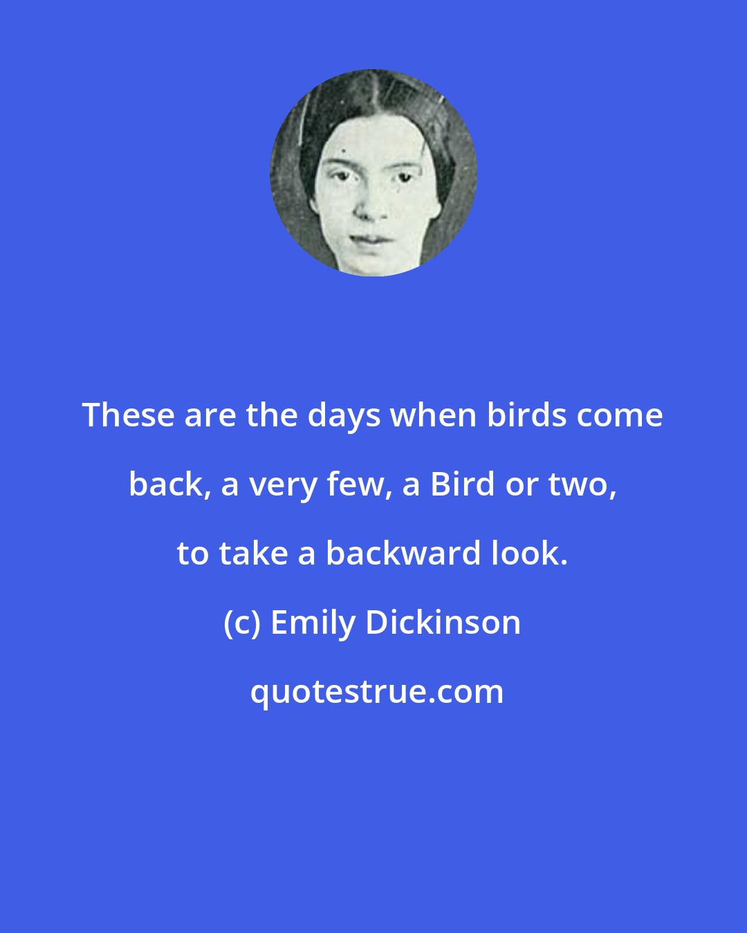 Emily Dickinson: These are the days when birds come back, a very few, a Bird or two, to take a backward look.