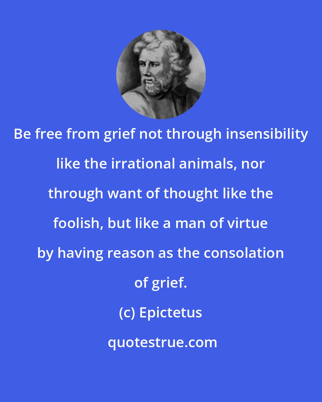 Epictetus: Be free from grief not through insensibility like the irrational animals, nor through want of thought like the foolish, but like a man of virtue by having reason as the consolation of grief.
