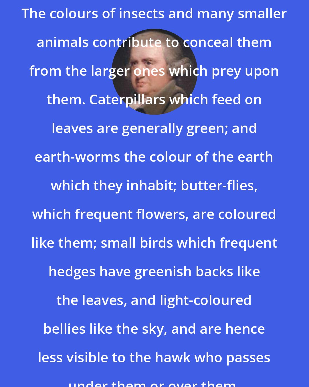 Erasmus Darwin: The colours of insects and many smaller animals contribute to conceal them from the larger ones which prey upon them. Caterpillars which feed on leaves are generally green; and earth-worms the colour of the earth which they inhabit; butter-flies, which frequent flowers, are coloured like them; small birds which frequent hedges have greenish backs like the leaves, and light-coloured bellies like the sky, and are hence less visible to the hawk who passes under them or over them.