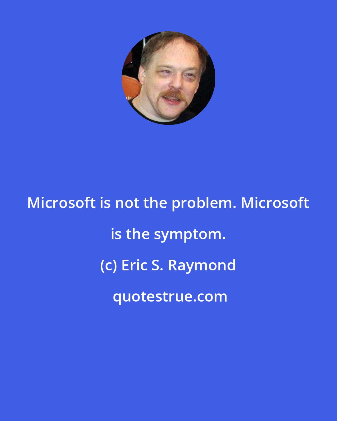 Eric S. Raymond: Microsoft is not the problem. Microsoft is the symptom.