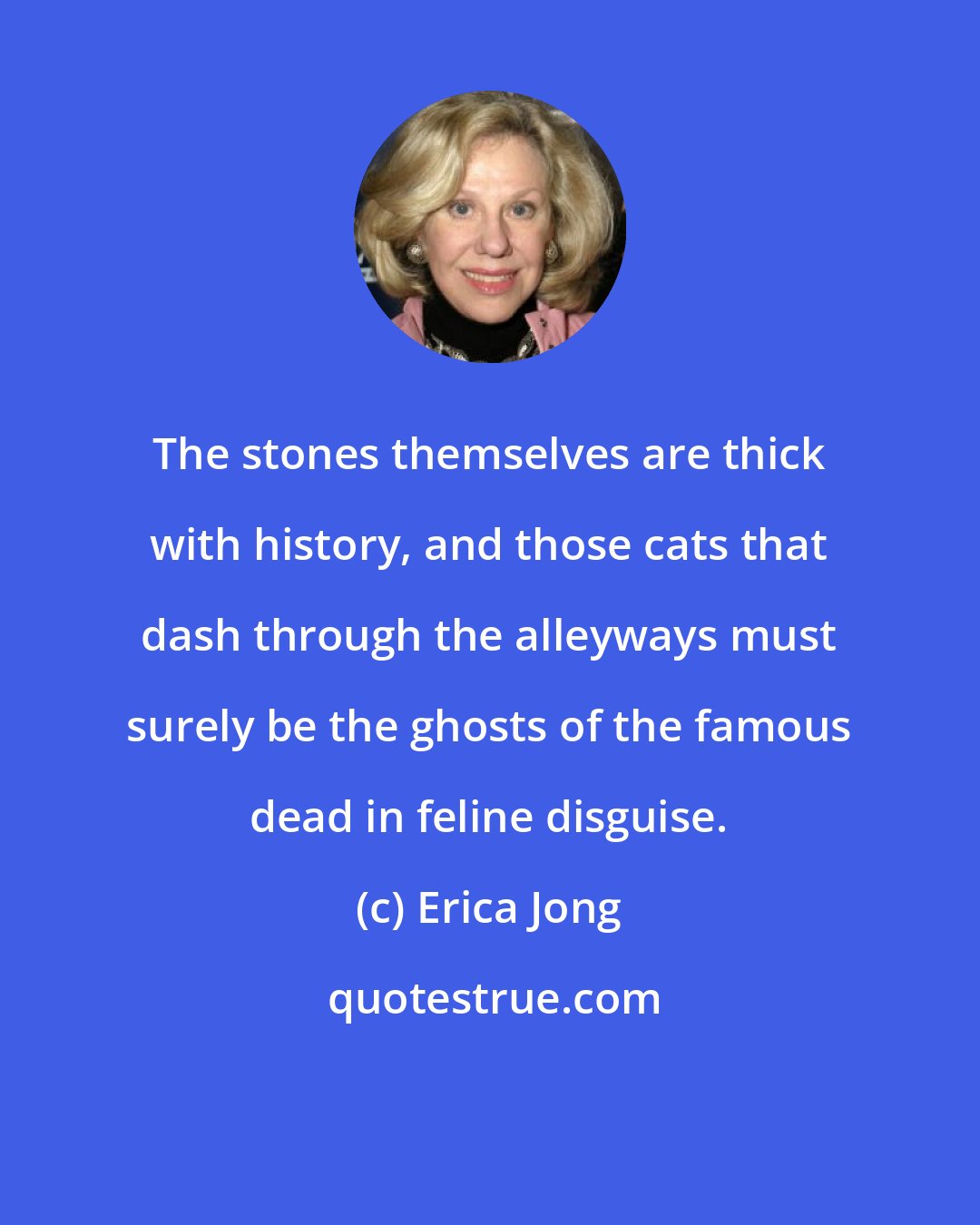 Erica Jong: The stones themselves are thick with history, and those cats that dash through the alleyways must surely be the ghosts of the famous dead in feline disguise.