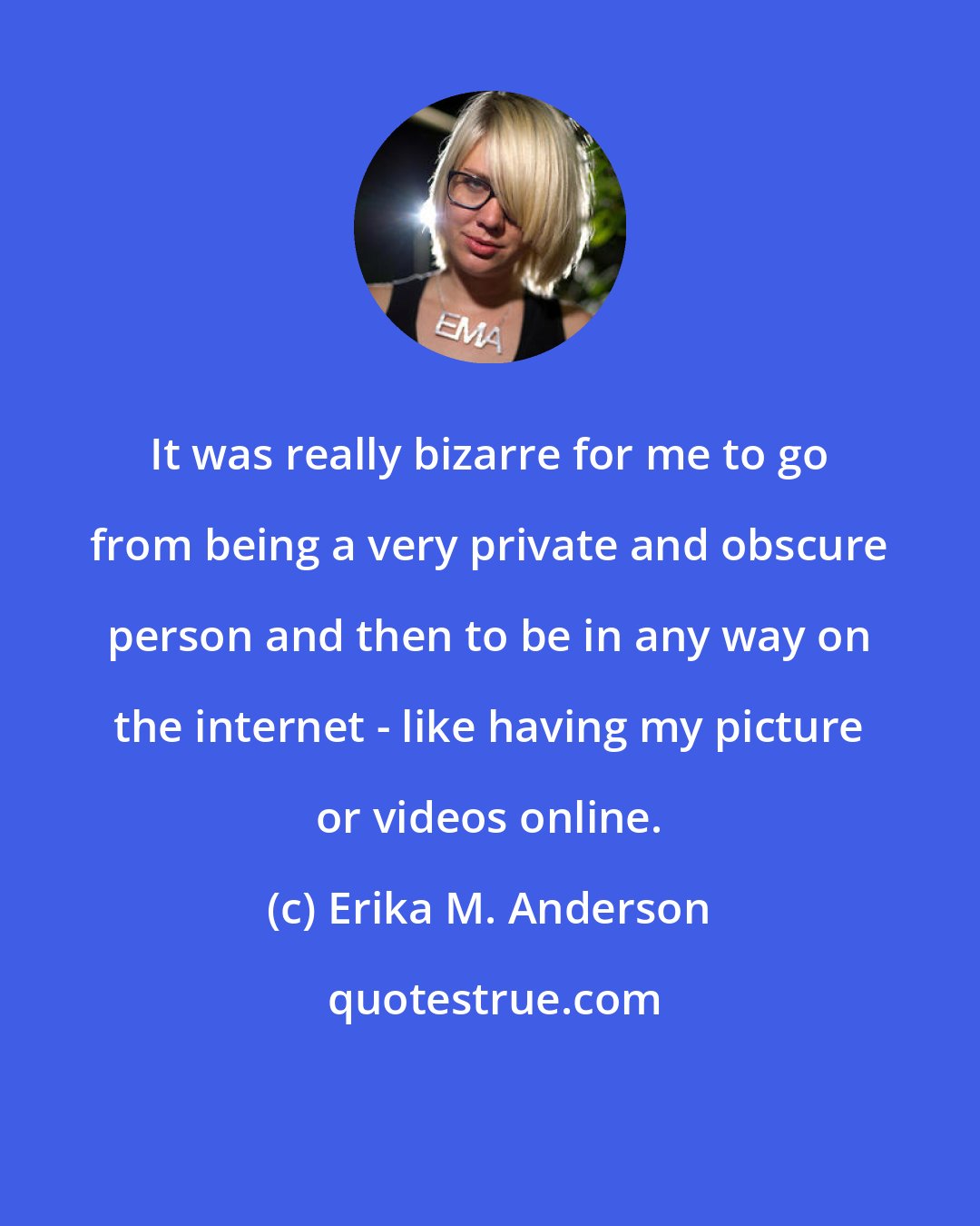 Erika M. Anderson: It was really bizarre for me to go from being a very private and obscure person and then to be in any way on the internet - like having my picture or videos online.