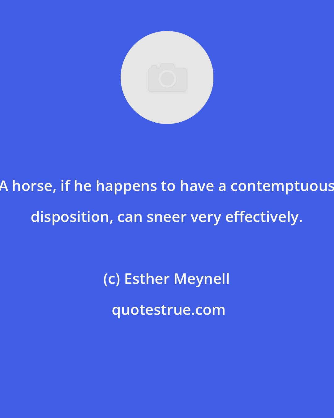 Esther Meynell: A horse, if he happens to have a contemptuous disposition, can sneer very effectively.