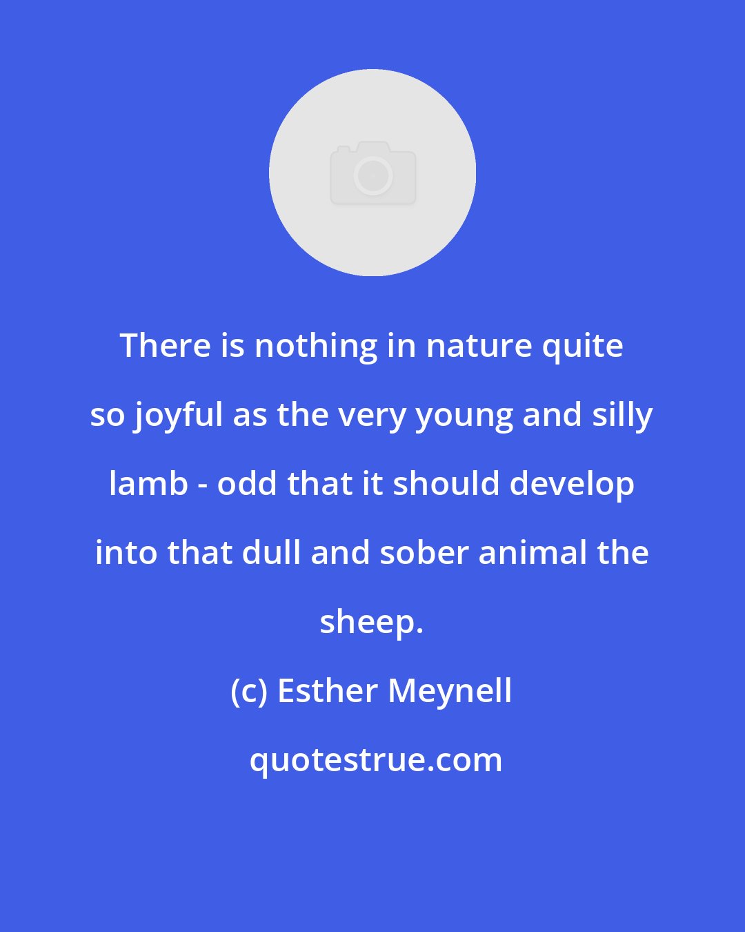Esther Meynell: There is nothing in nature quite so joyful as the very young and silly lamb - odd that it should develop into that dull and sober animal the sheep.