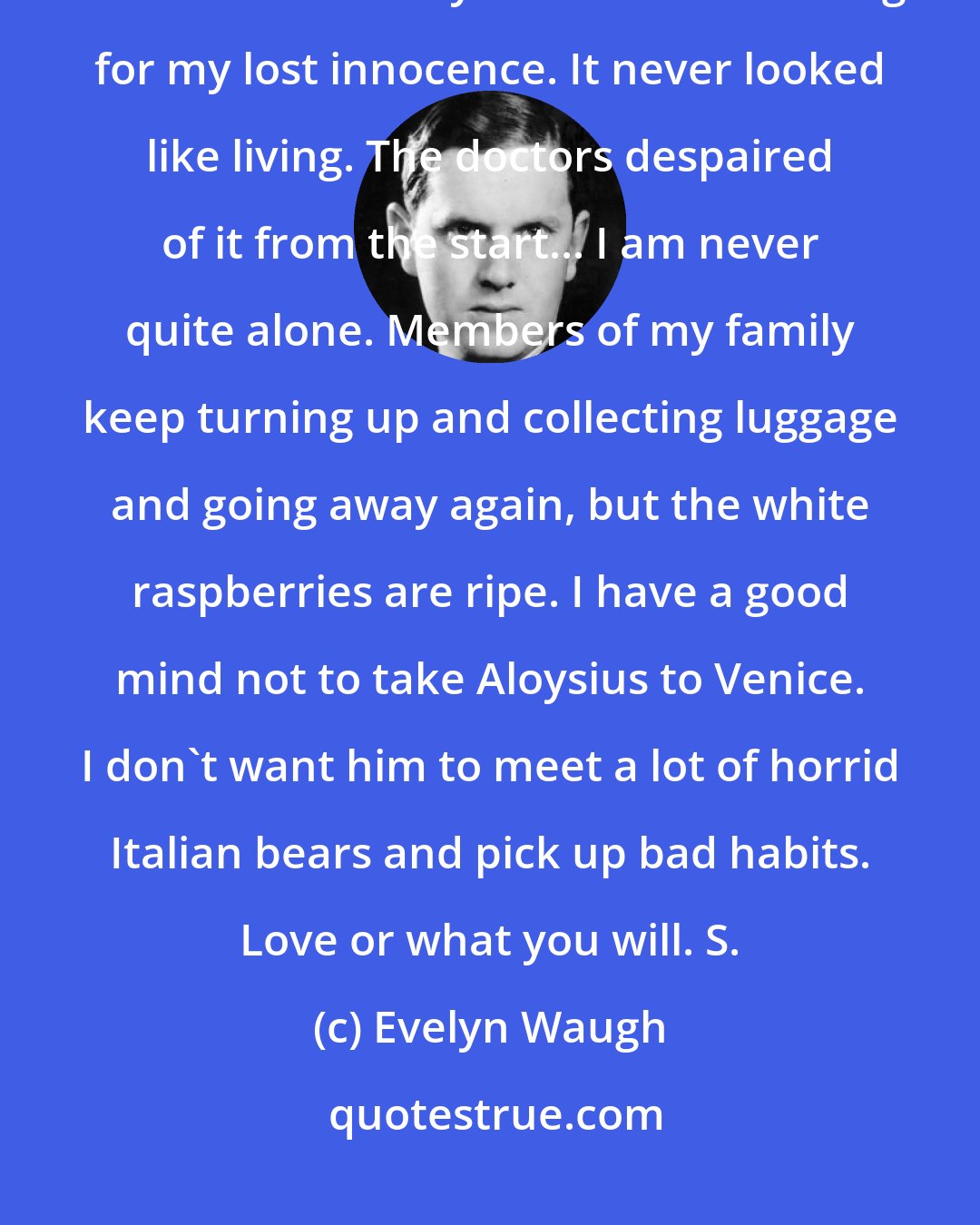 Evelyn Waugh: Dearest Charles-- I found a box of this paper at the back of a bureau so I must write to you as I am mourning for my lost innocence. It never looked like living. The doctors despaired of it from the start... I am never quite alone. Members of my family keep turning up and collecting luggage and going away again, but the white raspberries are ripe. I have a good mind not to take Aloysius to Venice. I don't want him to meet a lot of horrid Italian bears and pick up bad habits. Love or what you will. S.