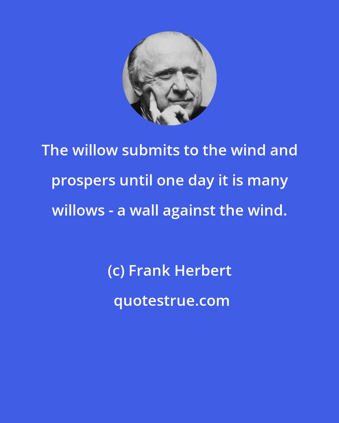Frank Herbert: The willow submits to the wind and prospers until one day it is many willows - a wall against the wind.