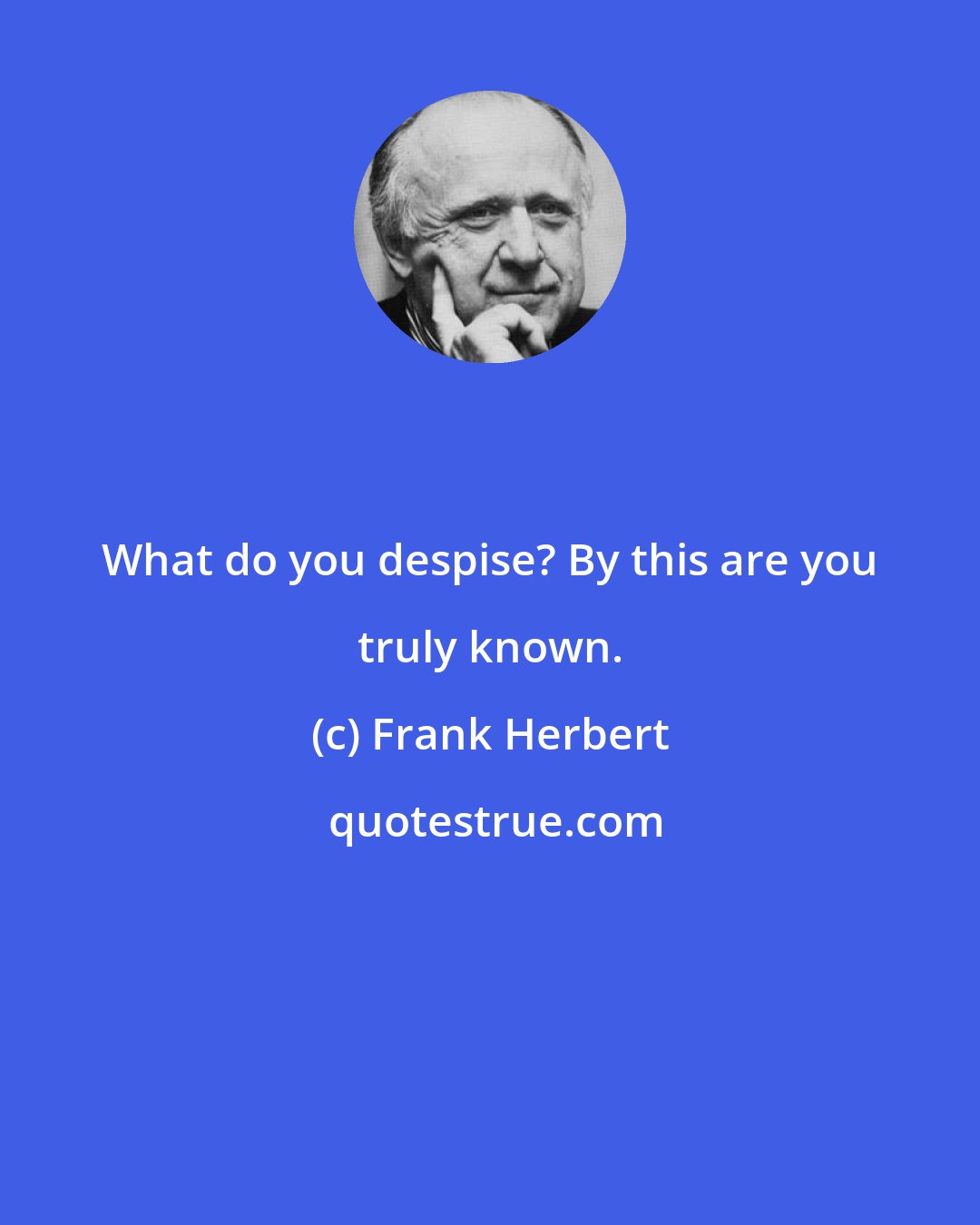 Frank Herbert: What do you despise? By this are you truly known.
