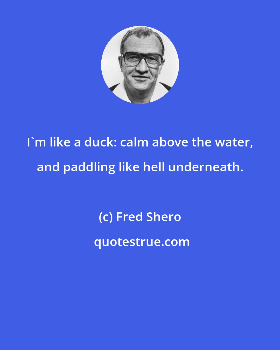 Fred Shero: I'm like a duck: calm above the water, and paddling like hell underneath.