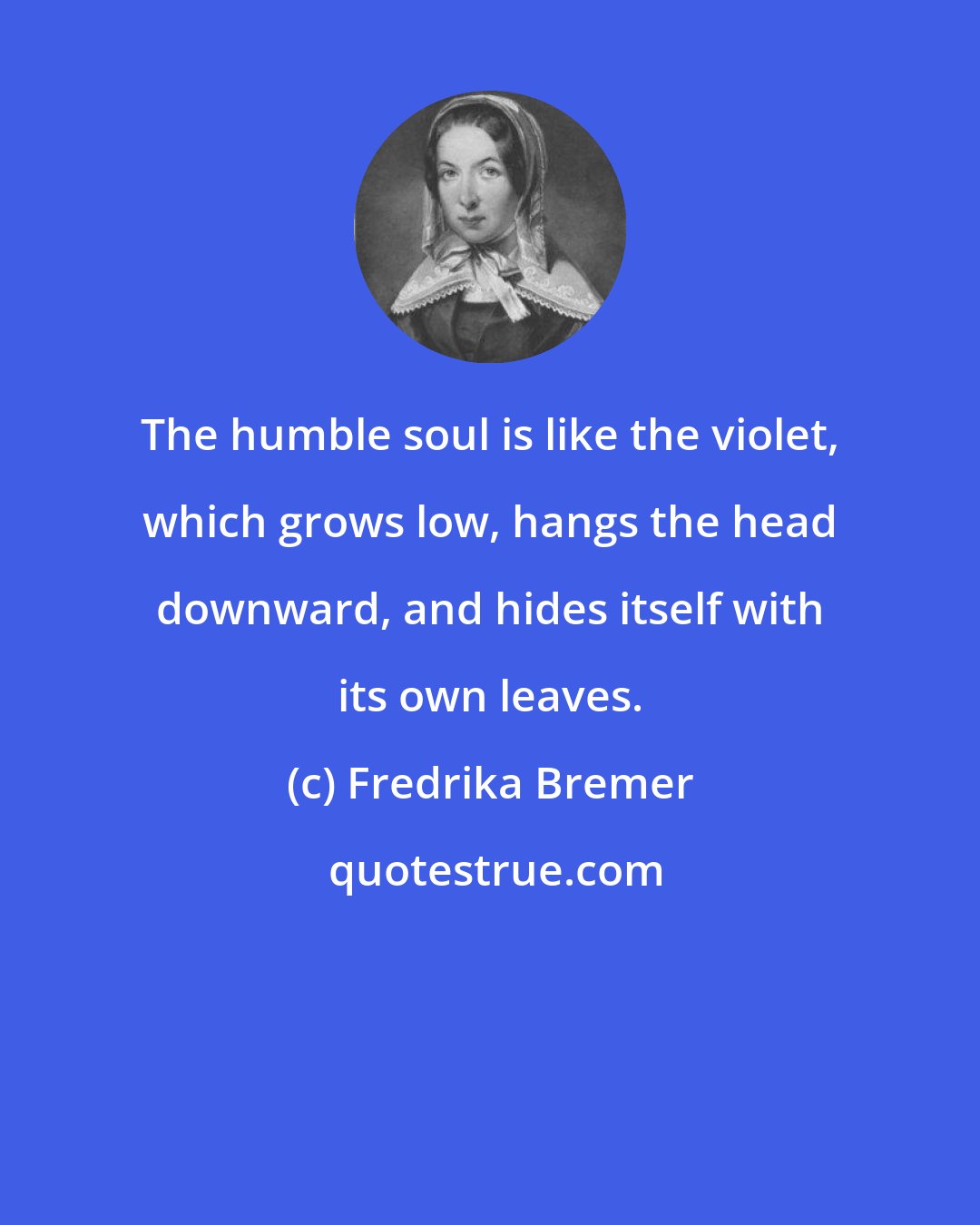 Fredrika Bremer: The humble soul is like the violet, which grows low, hangs the head downward, and hides itself with its own leaves.
