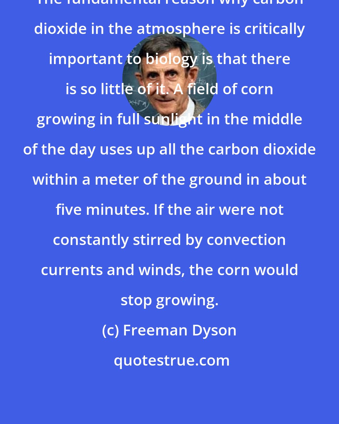 Freeman Dyson: The fundamental reason why carbon dioxide in the atmosphere is critically important to biology is that there is so little of it. A field of corn growing in full sunlight in the middle of the day uses up all the carbon dioxide within a meter of the ground in about five minutes. If the air were not constantly stirred by convection currents and winds, the corn would stop growing.