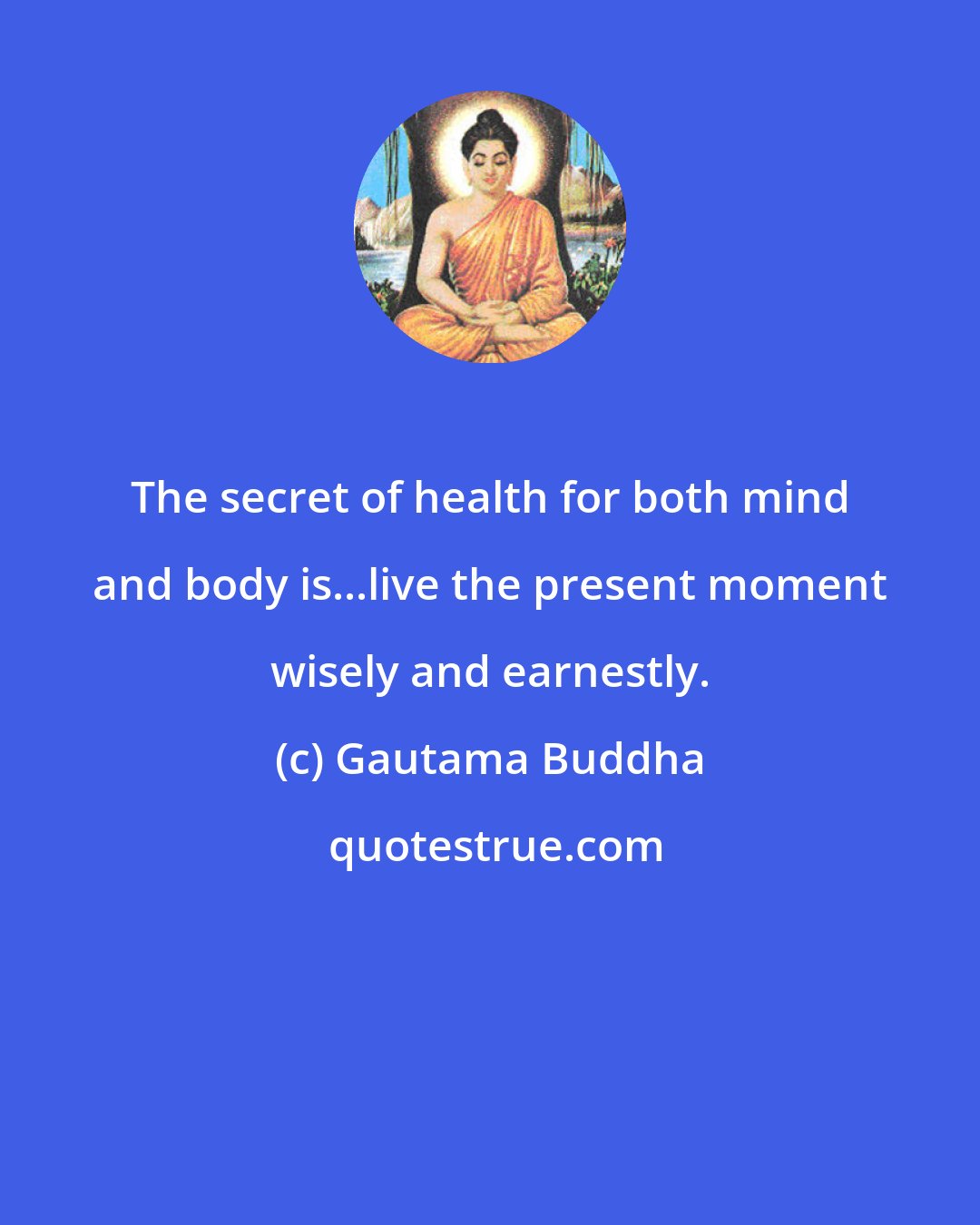 Gautama Buddha: The secret of health for both mind and body is...live the present moment wisely and earnestly.