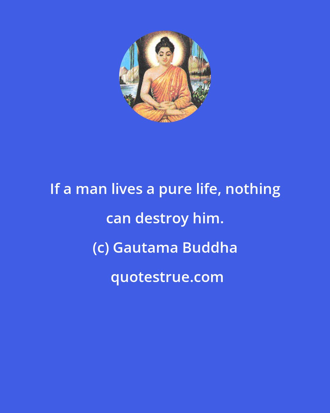 Gautama Buddha: If a man lives a pure life, nothing can destroy him.