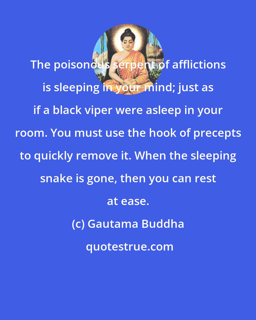 Gautama Buddha: The poisonous serpent of afflictions is sleeping in your mind; just as if a black viper were asleep in your room. You must use the hook of precepts to quickly remove it. When the sleeping snake is gone, then you can rest at ease.