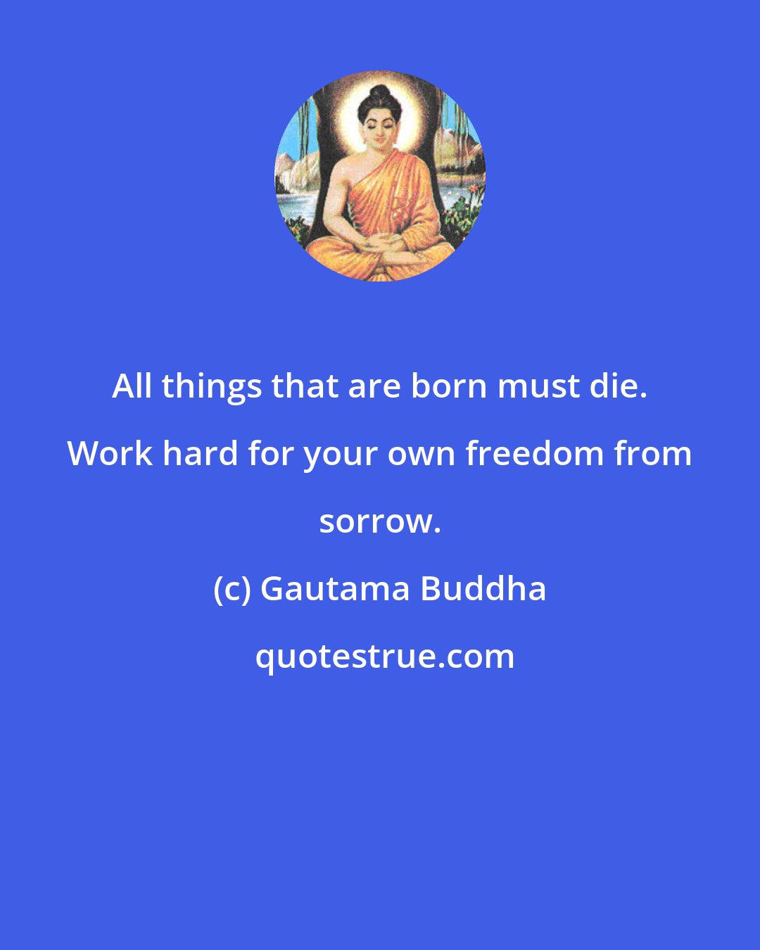 Gautama Buddha: All things that are born must die. Work hard for your own freedom from sorrow.