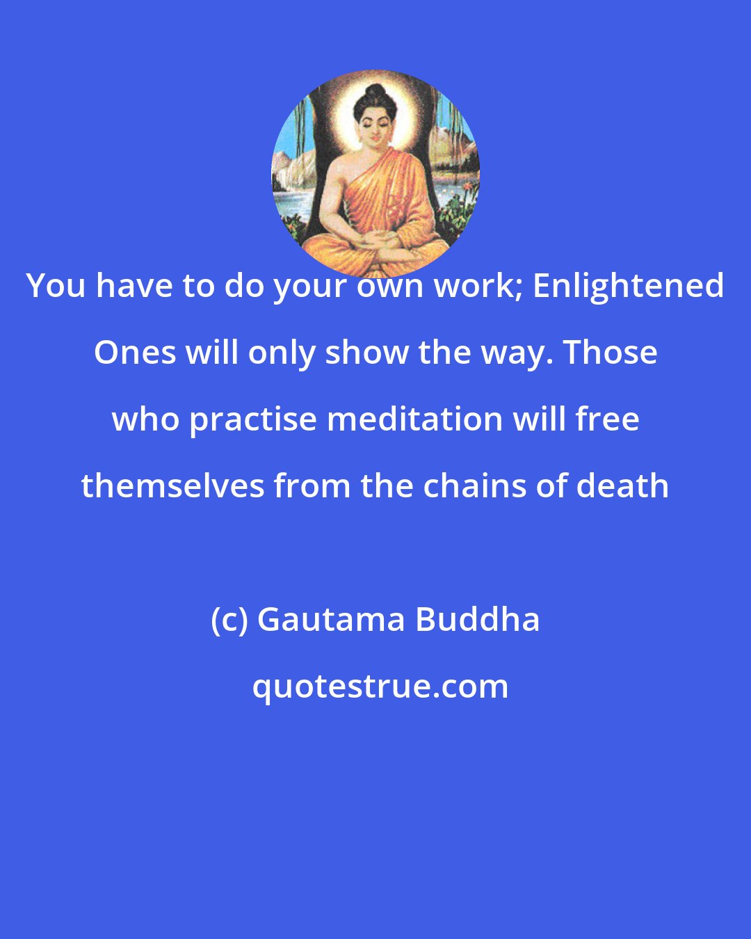 Gautama Buddha: You have to do your own work; Enlightened Ones will only show the way. Those who practise meditation will free themselves from the chains of death