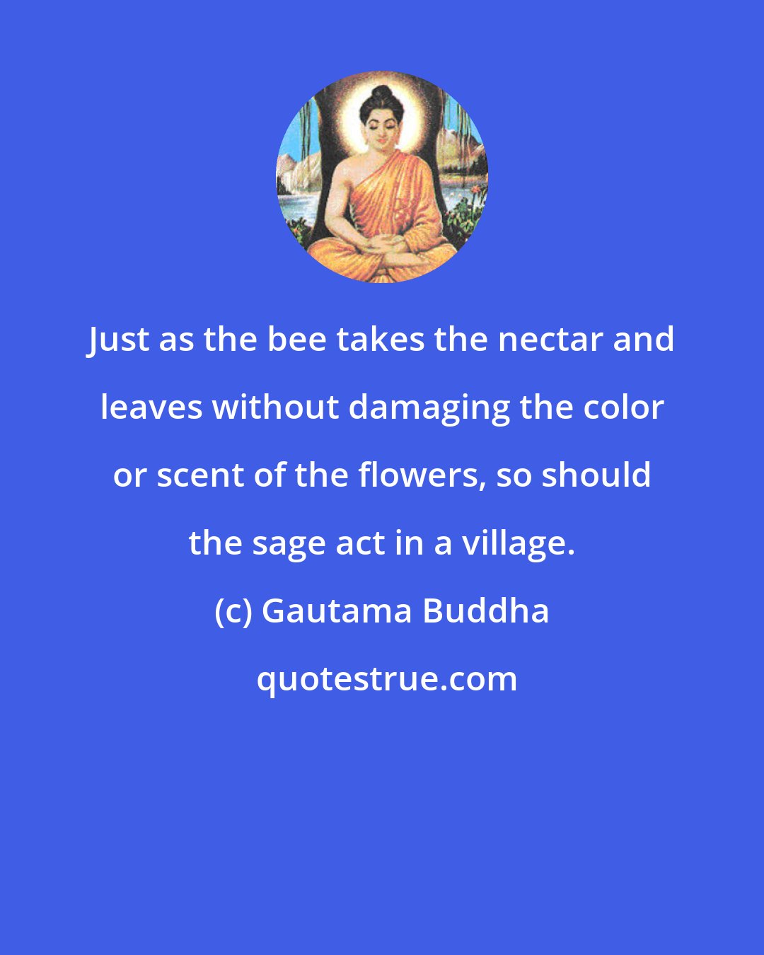 Gautama Buddha: Just as the bee takes the nectar and leaves without damaging the color or scent of the flowers, so should the sage act in a village.