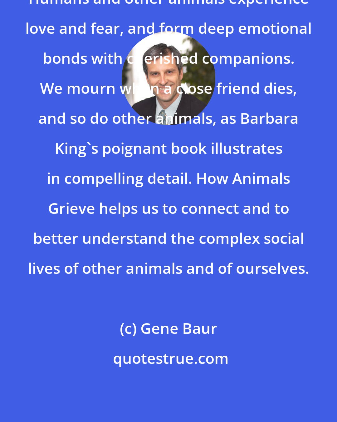 Gene Baur: Humans and other animals experience love and fear, and form deep emotional bonds with cherished companions. We mourn when a close friend dies, and so do other animals, as Barbara King's poignant book illustrates in compelling detail. How Animals Grieve helps us to connect and to better understand the complex social lives of other animals and of ourselves.
