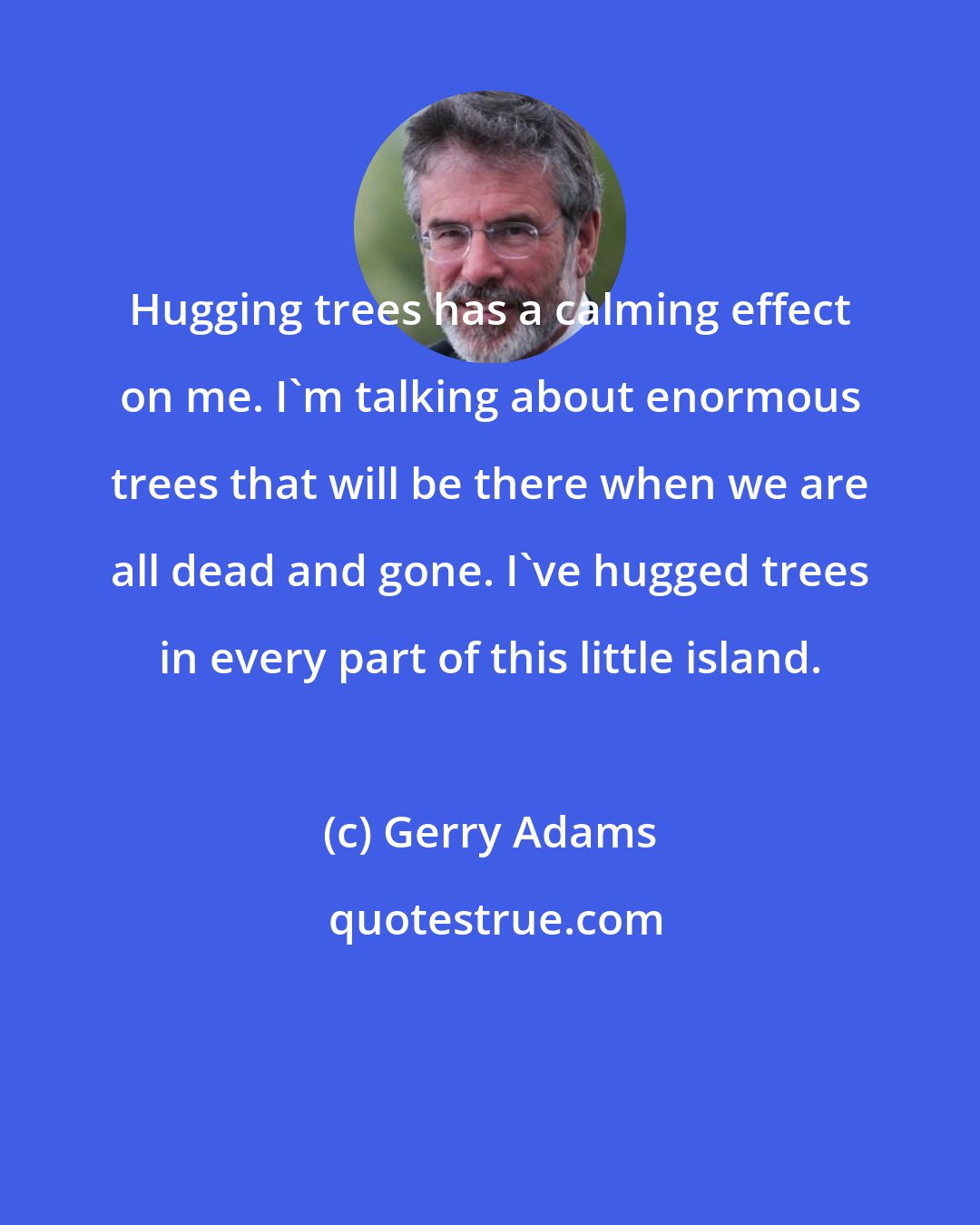 Gerry Adams: Hugging trees has a calming effect on me. I'm talking about enormous trees that will be there when we are all dead and gone. I've hugged trees in every part of this little island.