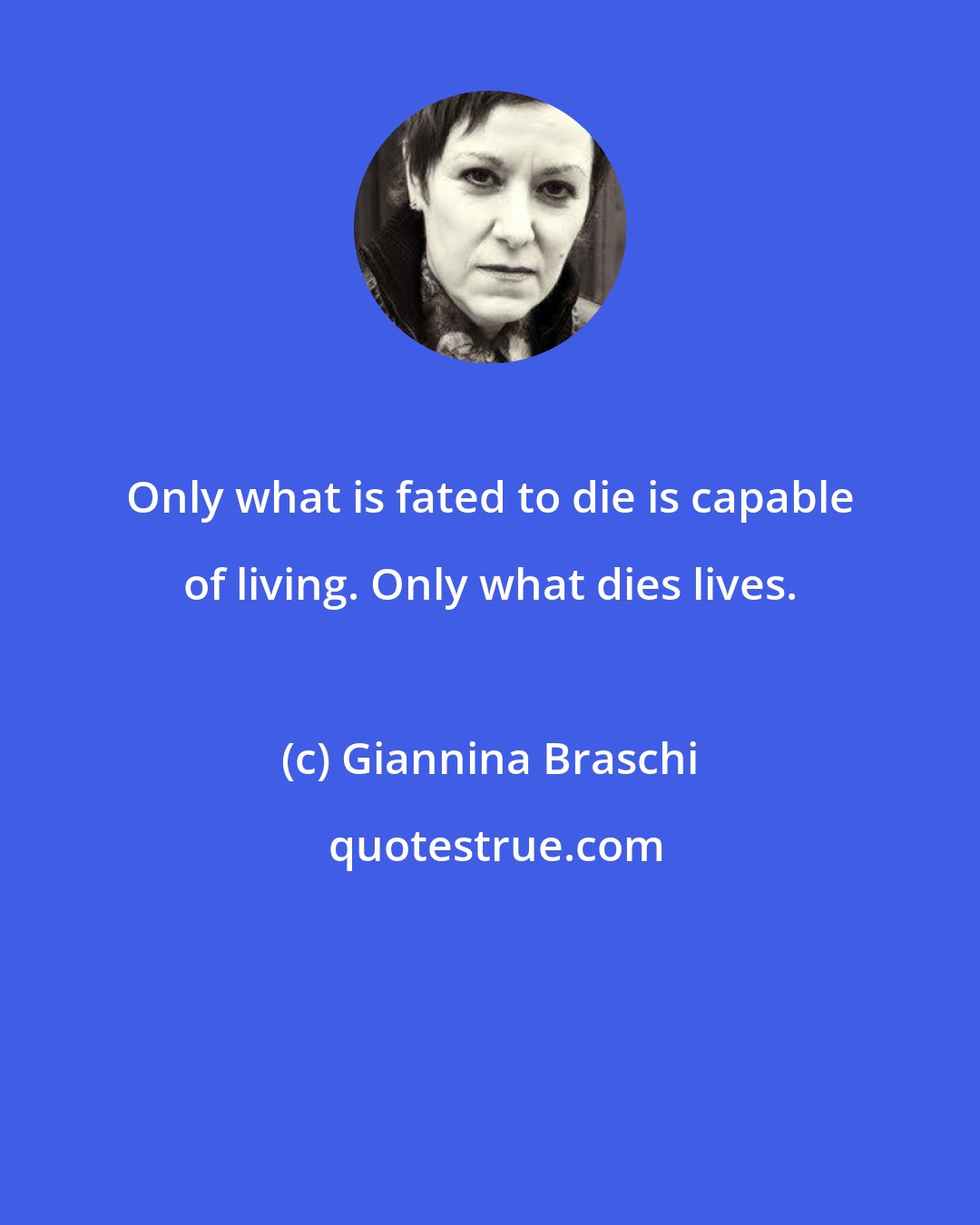 Giannina Braschi: Only what is fated to die is capable of living. Only what dies lives.