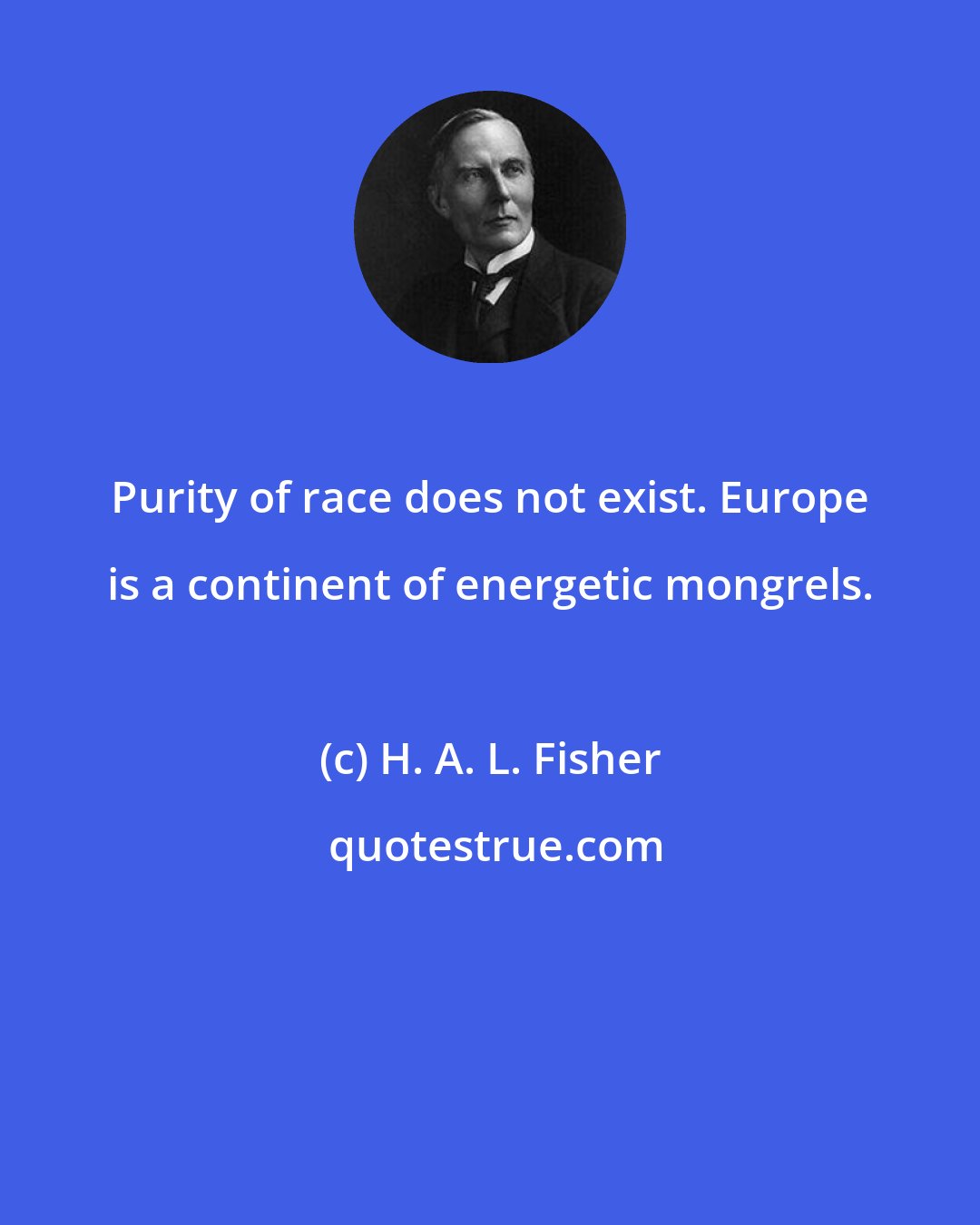 H. A. L. Fisher: Purity of race does not exist. Europe is a continent of energetic mongrels.