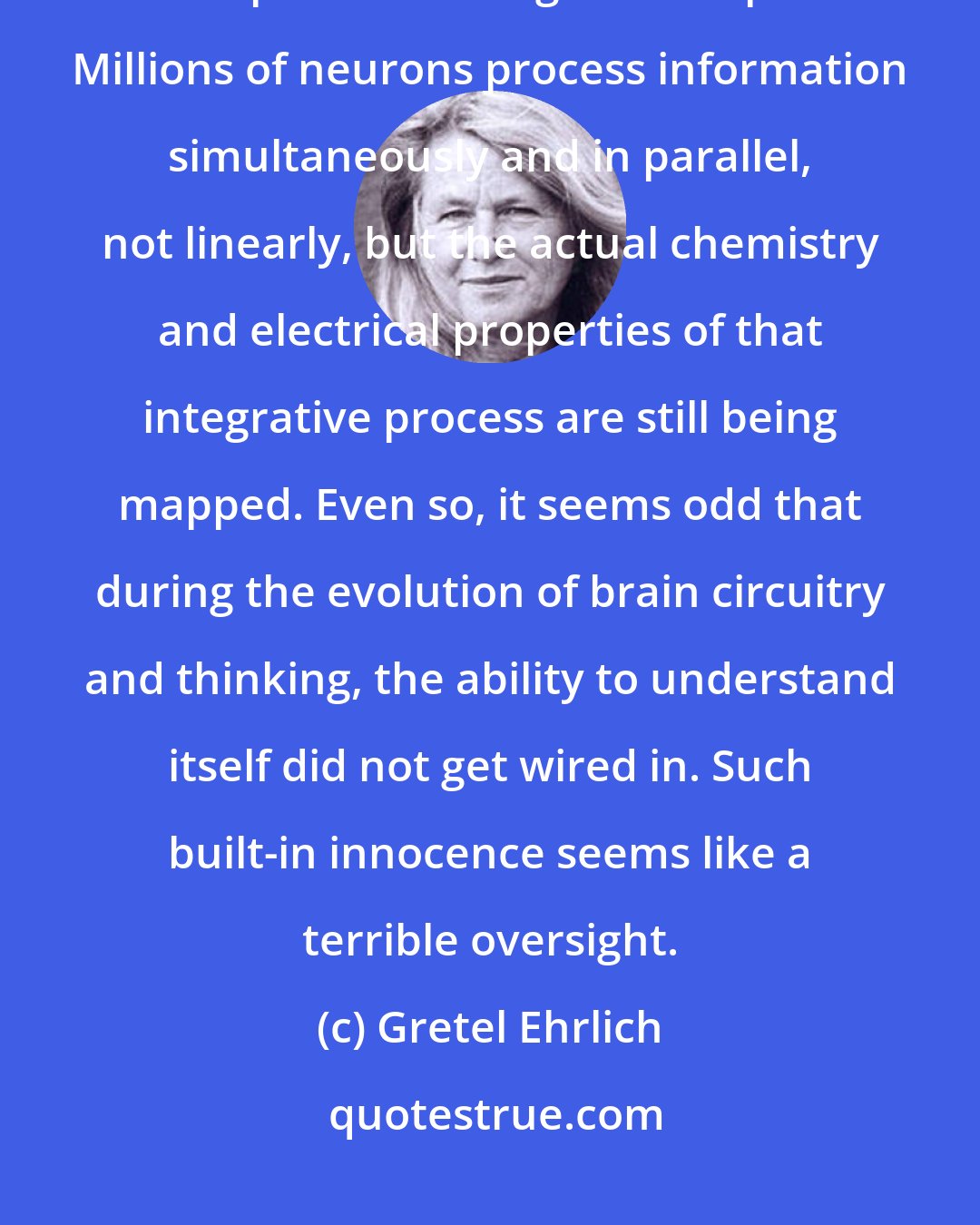 Gretel Ehrlich: All that's known is this: there is no central processor, no single computer. Nothing that simple. Millions of neurons process information simultaneously and in parallel, not linearly, but the actual chemistry and electrical properties of that integrative process are still being mapped. Even so, it seems odd that during the evolution of brain circuitry and thinking, the ability to understand itself did not get wired in. Such built-in innocence seems like a terrible oversight.