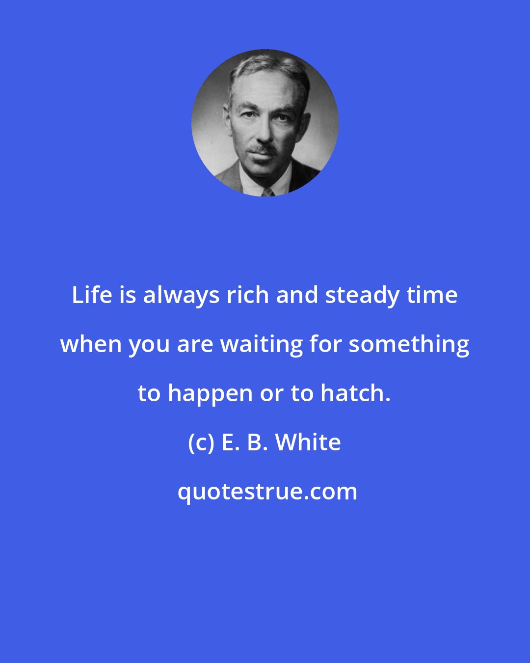 E. B. White: Life is always rich and steady time when you are waiting for something to happen or to hatch.
