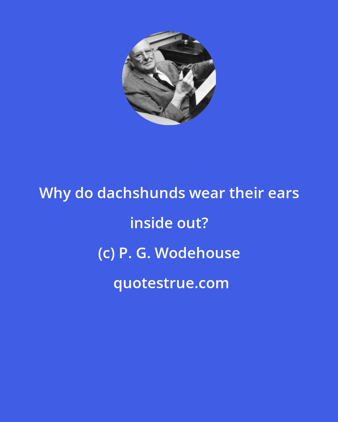 P. G. Wodehouse: Why do dachshunds wear their ears inside out?