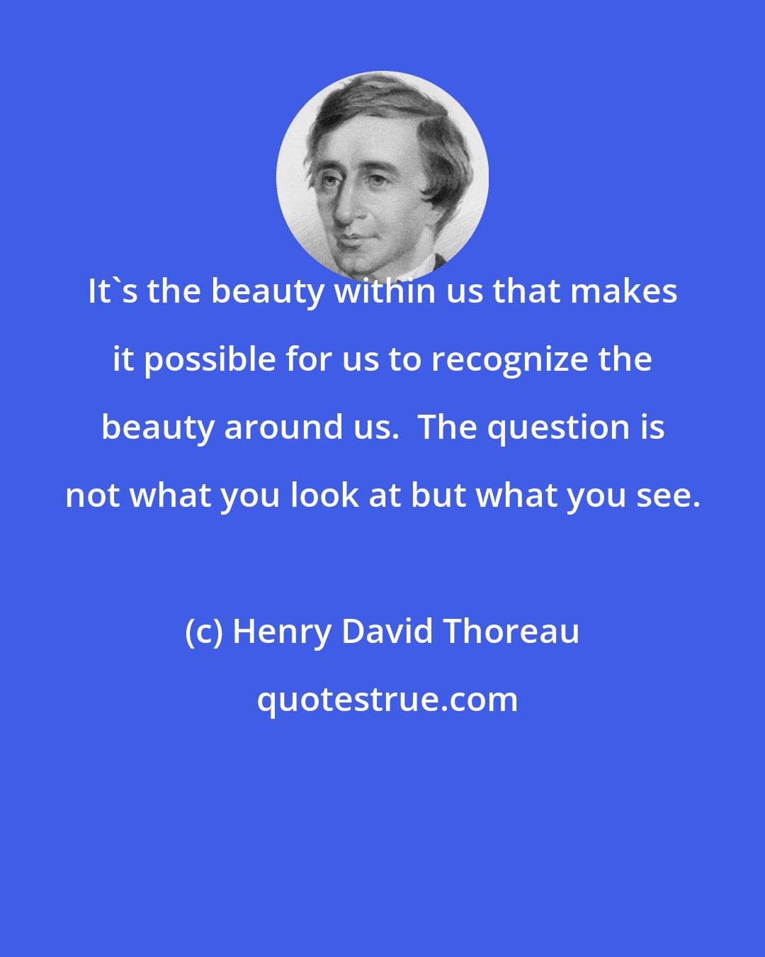 Henry David Thoreau: It's the beauty within us that makes it possible for us to recognize the beauty around us.  The question is not what you look at but what you see.