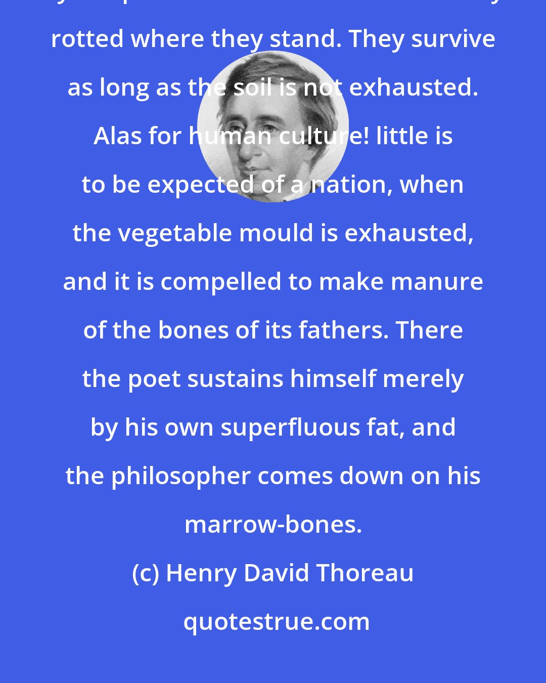 Henry David Thoreau: The civilized nations--Greece, Rome, England--have been sustained by the primitive forests which anciently rotted where they stand. They survive as long as the soil is not exhausted. Alas for human culture! little is to be expected of a nation, when the vegetable mould is exhausted, and it is compelled to make manure of the bones of its fathers. There the poet sustains himself merely by his own superfluous fat, and the philosopher comes down on his marrow-bones.
