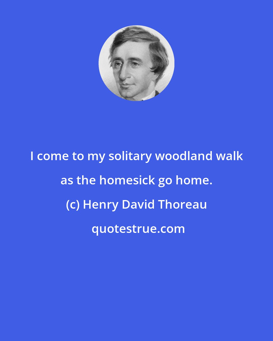 Henry David Thoreau: I come to my solitary woodland walk as the homesick go home.