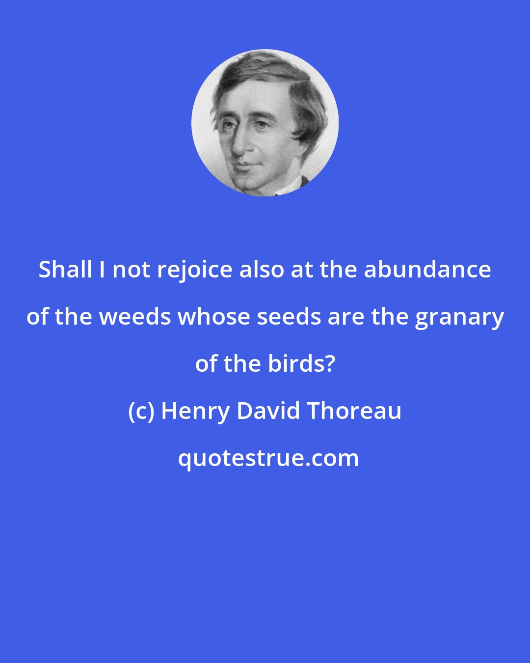 Henry David Thoreau: Shall I not rejoice also at the abundance of the weeds whose seeds are the granary of the birds?