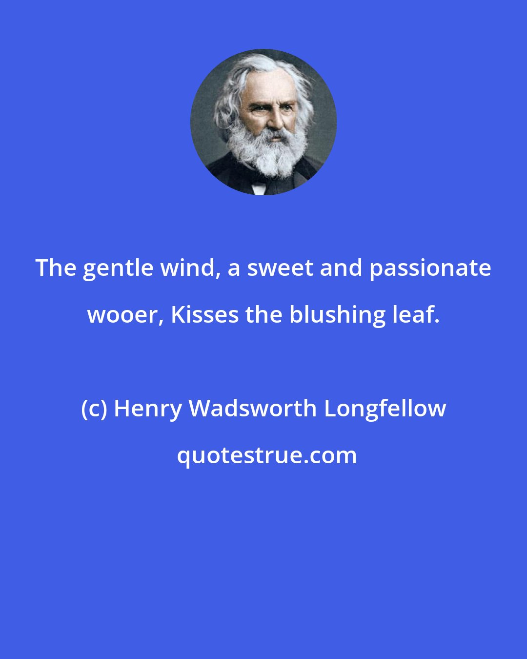Henry Wadsworth Longfellow: The gentle wind, a sweet and passionate wooer, Kisses the blushing leaf.